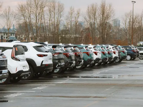 A row of SUVs parked in a lot, their rear windows facing the camera